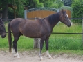 IMGP2886